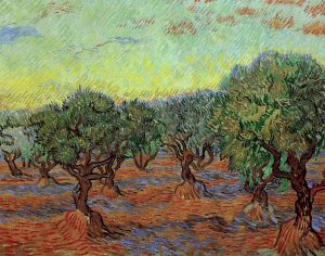 El olivar de Van Gogh